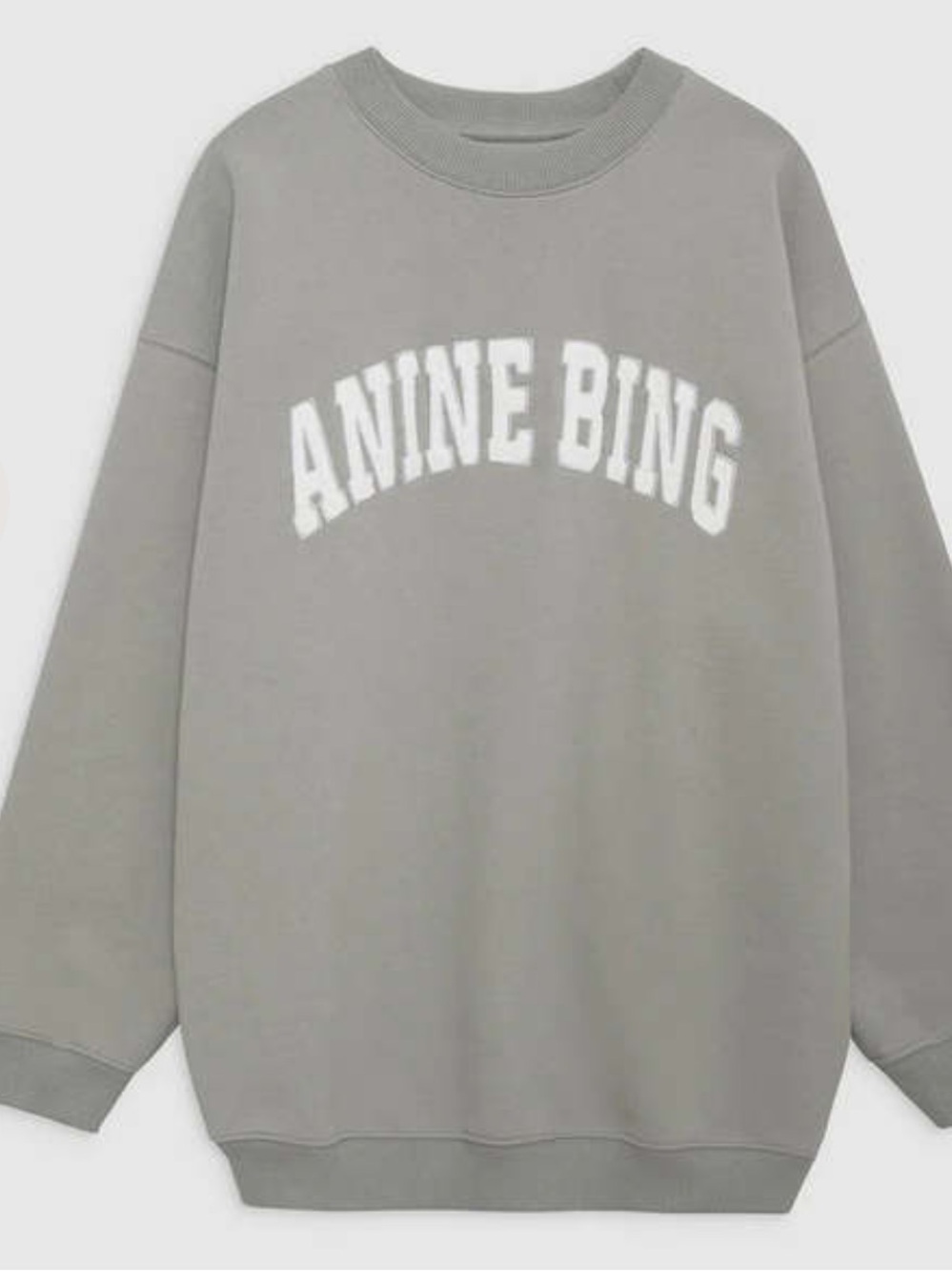Anine Bing Tyler Oversized Sweatshirt Storm Grey NWT